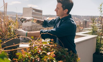 Mann, Pflanze, Terrasse, Blumen, Stadt, Gartenschere, Handschuhe, Gartenarbeit