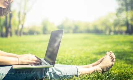 Wiese, Frau, Bäume, Park, Laptop, Gras