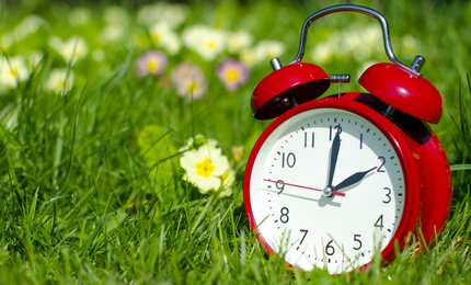 Wiese, Gras, Wecker, Uhr, Blumen